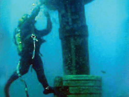 Subsea Horse Profile
