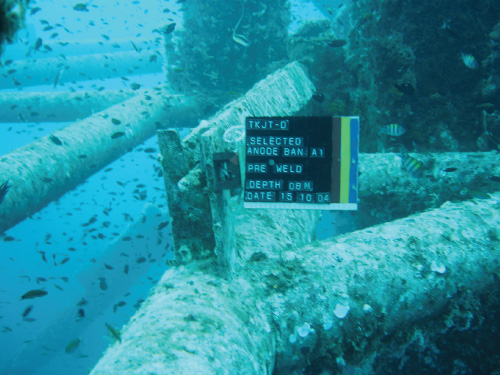 Underwater Photographs